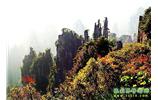 张家界、天子山、黄龙洞/宝峰湖二晚三日游