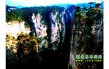 张家界、天子山、杨家界、天门山、天门洞纯玩四日游 【纯玩自助游】