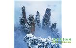 【长沙高速往返张家界】张家界、天子山、武陵源二晚二日游