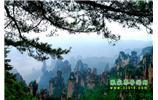 张家界、天子山、宝峰湖/黄龙洞二晚三日游