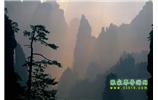 张家界国家森林公园、宝峰湖/黄龙洞、凤凰古城、三峡八日游