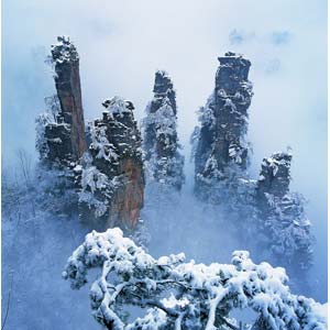 单独成团O线：（张家界温泉休闲线路）张家界、天子山、宝峰湖/黄龙洞、凤凰古城 江垭温泉/万福温泉 五日游