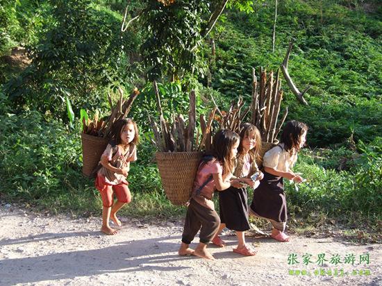 (老挝北部山区砍柴回家的小女孩)