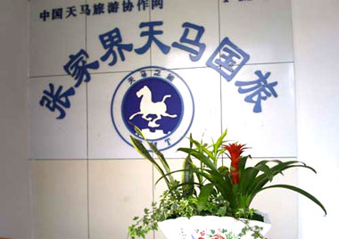 关于XX旅行社经营战略管理调整规划项目商业